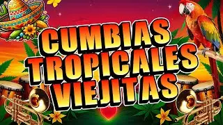 CUMBIAS TROPICALES PARA BAILAR🌴MIX CUMBIAS TROPICALES 2026🙌ACAPULCO TROPICAL,TROPICAL FLORIDA...