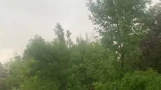 SVR #2 (EAS #1590)