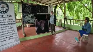 Samal Monfort Bat Colony