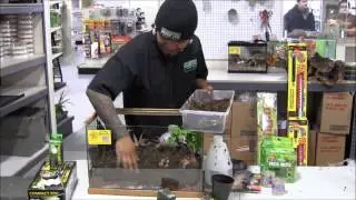 How to Make a Living Vivarium