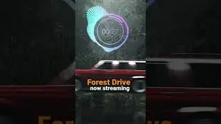 When it&rsquo;s time to focus!!! Play that #forestdrive music