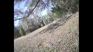 goby 210  fpv lt200 vtx