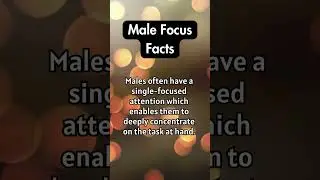 Mastering Single-Task Focus: Insights and Strategies for Men