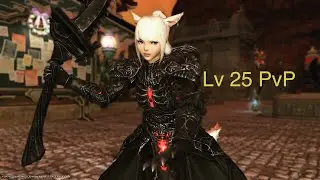 FFXIV ARCHFIEND ATTIRE COFFER