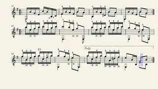 Campera &ndash; Jos&eacute; Pierri Sapere (1886 - 1957)
