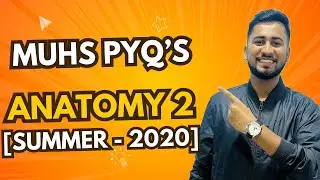 ANATOMY PAPER 2 - MUHS SUMMER 2020 I #mbbs#muhs #trending #anatomy #exam #medicos#learn