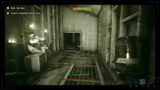 Fight and Flight