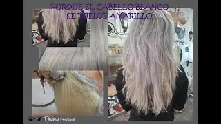 PORQUE EL CABELLO BLANCO SE VUELVE AMARILLO (Explicacion)