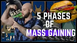 5 Phases of Mass Gaining | HOW TO PUT ON SIZE THE RIGHT WAY | Natty or Enhanced
