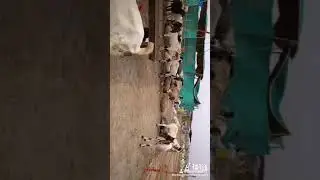 EID. TIK_TOK. Goets(3)