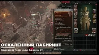 Diablo 4 Некромант Суммонер Оскаленный Лабиринт (Уровень 54)