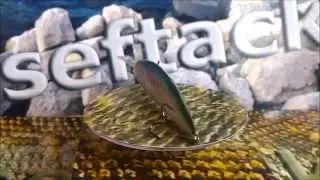 Handmade Wobbler Alex Costa 8 DR tieflaufend Rainbow Trout