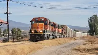 LFCD: Locomotoras 