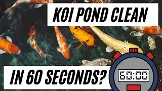 Pond Cleaning in Worthing, West Sussex. 60 Second Time Lapse
