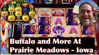Buffalo, Triple Coin Treasures и многое другое от казино Prairie Meadows