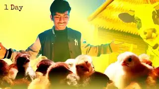 Poultry farming day 1   #vlog #farming #minivlog #vilar #poultryfarming #video 
