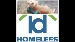 Stacie Stocker Homeless Id Project Activity-a-thon 2020
