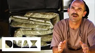 Man Barely Avoids Detection While Carrying 6 LB Of Marijuana | Weed Country