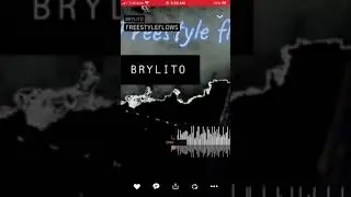 FREESTYLEFLOWS by BRYLITO
