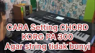 Cara hilangkan Suara Chord String Di Pa300 SET izal keyboard atau Cara mengatur Chord pasti mudah