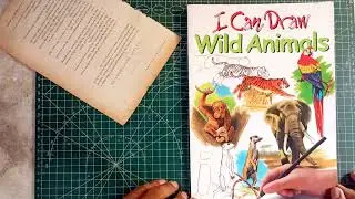 🦁🐘 I Can Draw Wild Animals by Terry Longhurst | Flip Through | Learn to Draw Wildlife!