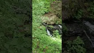 🌞🌍 The Secret Language of Nature | Conte Zumma Domein 🌿🌸🌟