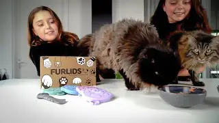 FurLids &ndash; The Smart Silicone Can Covers for Dogs & Cats wet food | Reusable, BPA-Free, Pet-Safe