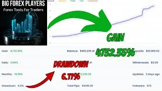 Big Forex Players EA V3.1  Smart Automated Trading for MT4