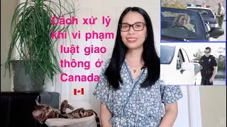 C&aacute;ch xử l&iacute; khi vi phạm luật giao th&ocirc;ng ở Canada. Traffic violations & the police