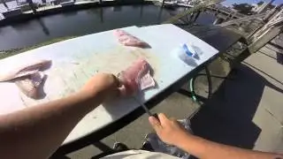 Miss Avalon Fishing 5/29-6/1