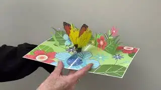 Popcards.nl - Imposant grote en prachtige vlinder pop-up vlinderkaart Geel-Oranjetipje