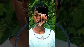 🤯Bell 🐃 challenge😱 #bellydance #challenge #viralvideo #shortvideos #shorts #video #views #love