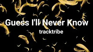 guess i'll never know || tracktribe (official lyrics)