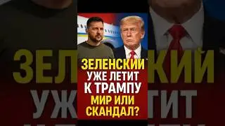 Зеленский летит к Трампу &mdash; мир или новый скандал?