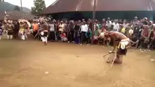 Mbako Tumpi Reba Cumbi Lime tesuan - Dadar Ranggu