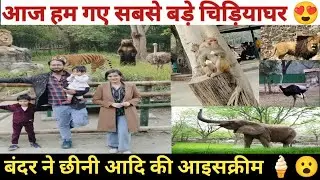 Aaj Hum Gaye Delhi Ka Chidiyaghar 😍 | Delhi Zoo vlog | Delhi ka Chidiyaghar| #delhizoologicalpark 