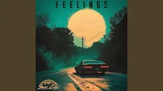 Feelings