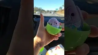 opening a TINY SQUISHMALLOW capsule 🥺 #youtubeshorts #shorts