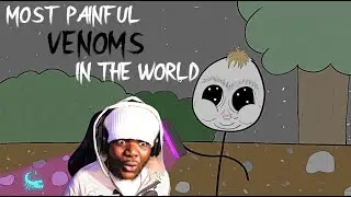 The Most Painful Venoms in The World | Kymanijb Recats