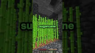 #minecraft #donutsmp #minecraftserver #smp #gaming #litsl