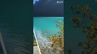 #alberta#nature#life#love#vlog