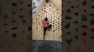 IMG 2485