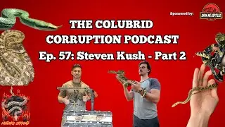 Breeding Tiger Rat Snakes w/ Steven Kush | The Colubrid Corruption Podcast | Ep. 57