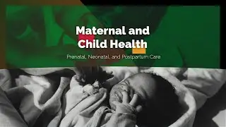 2022 Black History Month: Maternal & Child Health
