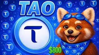 Why BITTENSOR Could Be the Decentralized AI Winner!