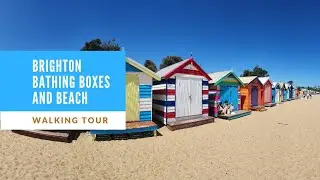 [4k60] Brighton Bathing Boxes | Victoria, Australia. Walking Tour.