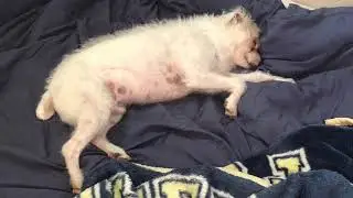 Tired