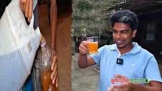 সুন্দরবনের খাঁটি মধু চেনার উপায় । Ways to know the authentic Sundarbans honey