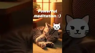 Ultimate Relaxation: The Power of a Sleeping Cat | Meditation Music