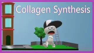 Collagen Synthesis (Mnemonic)